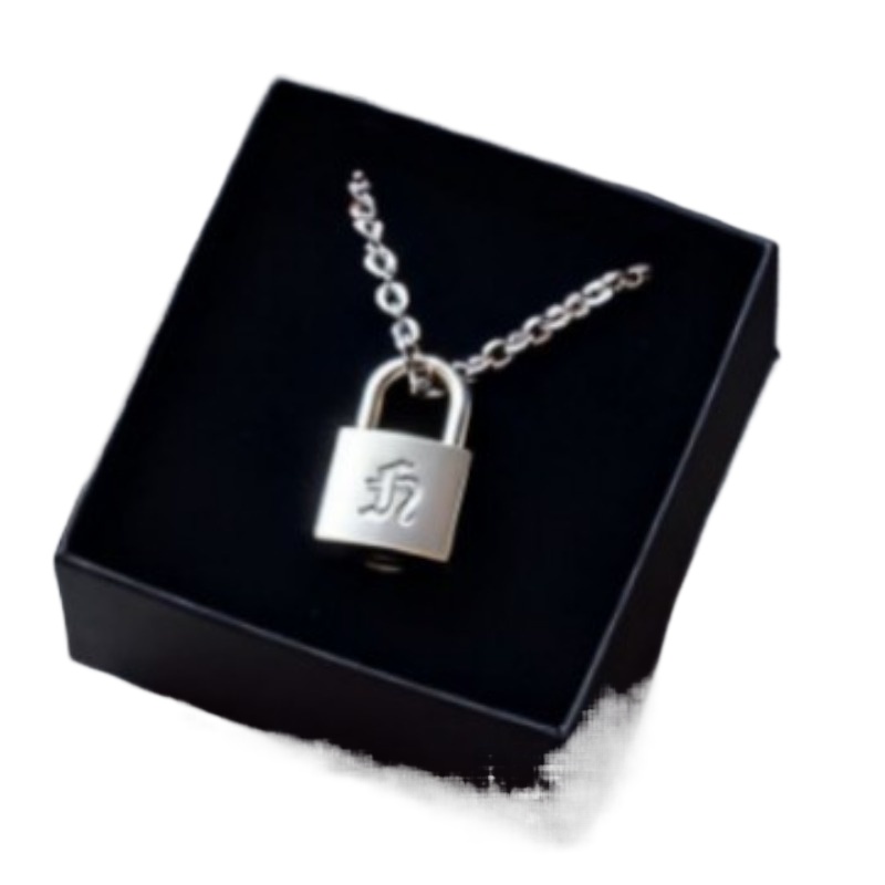 Smooth Matte Finish Metal Lock - Women Accessories Products ulasan dan harga